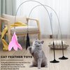 HylderS Interactive Cat Toys for Indoor Cats,4PCS Retractable Cat Feather Toy, 2PCS Silvervine Sticks Catnip Toys for Teeth Cleaning,2PCS Bouncy Ball Cat Toy w/Tail,Kitten Toys for Chasing Exercise