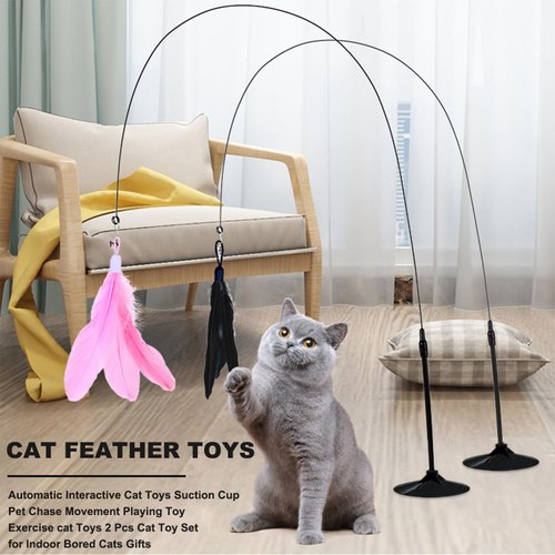 HylderS Interactive Cat Toys for Indoor Cats,4PCS Retractable Cat Feather Toy, 2PCS Silvervine Sticks Catnip Toys for Teeth Cleaning,2PCS Bouncy Ball Cat Toy w/Tail,Kitten Toys for Chasing Exercise