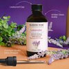 MAJESTIC PURE Lavender Essential Oil with Therapeutic Grade, for Aromatherapy, Massage and Topical uses, 4 fl oz