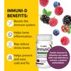 ImmuniD Elderberry Gummies by YumVs | Triple Defense Vitamins with Sambucus Elderberry, Vitamin C & Vitamin D | Complete Immune System Support for Women & Men | Natural Berry Flavor-60 Count