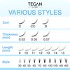 TEGAN LASH 500 Promade Fans Volume Eyelash Extensions, Handmade Loose False Eyelashes, From 3D - 16D, 0.03/0.05/0.07 Thickness, C/CC/D Curl, 9-15mm Length, Pestanas Pelo A Pelo (3D-0.07-CC-12)