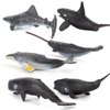 Fantarea 6 PCS Realistic Mini Sea Marine Animal Figures Ocean Creatures Action Models Figurine Whale Ornament Education Cognitive Toy for Boys Girls Kid