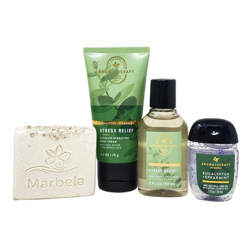 Bath & Body Works Aromatherapy Stress Relief EUCALYPTUS + SPEARMINT You Deserve This Travel Gift Bag Set - Body Cream - Body Wash + Foam Bath - Hand Gel - with a Natural Oats Bar Soap - Travel Size