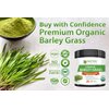 Barley Grass Powder - USDA Certified Organic Barley Grass Powder - Non-GMO, Vegan, and Non-Irradiated - Rich In Antioxidants, Protein, Fiber, Minerals, Chlorophyll, Amino Acids and Protein - 200 Grams