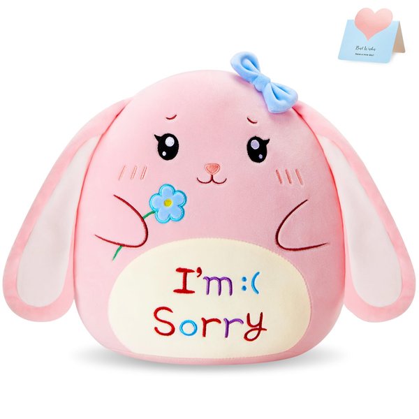 WEWILL Apology Bunny Plush Pillow - 12 Inches, I’m Sorry Embroidered, Perfect Rabbit Stuffed Animal Apologize Gift for Boys and Girls