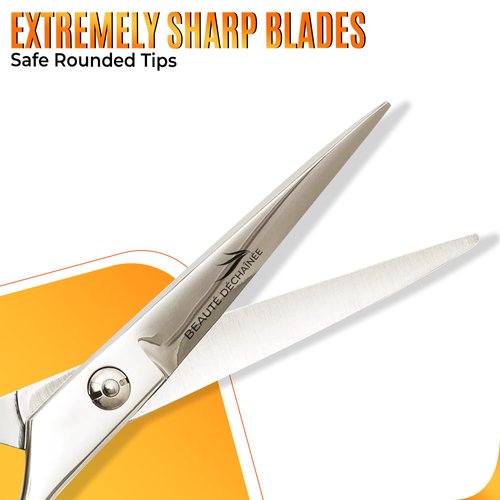 BEAUTÉ DÉCHAÎNÉE Professional Barber Shears - 6.5 Inch Premium Haircutting Scissors Stainless Steel Hairdressing Scissors for Men & Women (Silver)