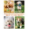 SCHITEC Squeaky Dog Toys, [6 Pack] Soft Stuffed Plush Balls with Squeakers, Interactive Fetch Play for Puppy Small Pets