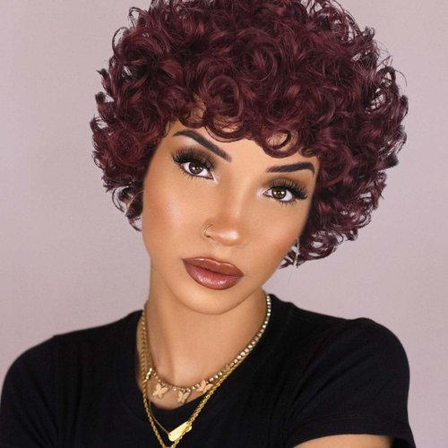 Quantum Love Short Curly Human Hair Wigs for Black Women 6 Inches Afro Kinky Curly Brazilian Virg...
