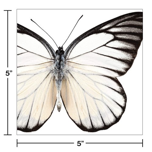 Creative Converting 317649 Party Supplies, 6.5", Multicolor