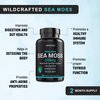 Certified Organic Sea Moss Capsules 2250mg Wildcrafted Irish Sea Moss Burdock Root Bladderwrack Supplement for Energy Gut Health Skin & Joint Support Raw Seamoss Pills & Powder (Pack of 1 at 180-Caps)