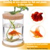 Betta Fish Tank - Mini Bowls for Beta Fish, Aquaponic Fish Tank Clear Hydroponic Plant Terrarium for Promoted Ecosphere Aquatic Ecosystem - 6.7" H * 4.7" D