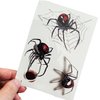 Kotbs 12 Sheets Spider Face Tattoos, Halloween Temporary Spider Decals for Kids and Adults - Realistic Halloween Makeup Stickers for Witch Costume and Party Favors