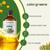 Colorgreens Rich & Pure Castor Oil 16oz—Empower Your Beauty Routine: Deep-moisturizing body Oil, Face Oil, Hair Oil for curly, Wavy, or Straight Hair, Lashes, Eyebrows, and dry Skin Massage Oil.
