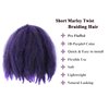 Dmovinse 12Inch Marley Hair Braiding Hair 5Packs Ombre Short Springy Afro Kinky Twist for Soft Locs Pre Fluffed Crochet Braids Synthetic Crochet Hair Extensions(Mixed Purple#)