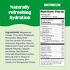 Ultima Replenisher Daily Electrolyte Drink Mix – Watermelon, 30 Servings – Hydration Powder with 6 Key Electrolytes & Trace Minerals – Keto Friendly, Vegan, Non-GMO & Sugar-Free Electrolyte Powder