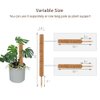 JOYSEUS 30 Inch Moss Pole for Climbing Plants - 2 Pack 15 Inch Coir Totem Pole Plant Support with 65 Feet Garden Twist Tie for Monstera and Potted Plants to Grow Upwards…