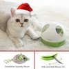 PETGEEK Interactive Cat Toy, Hide Mouse Cat Toy with Squeaky Mouse, Electronic Automatic Cat Toys with Catnip Filled Hidey Mouse, Best Gift for Birthday, Thanksgiving, Christmas, New Year