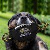 Pets First NFL Baltimore Ravens Football Dog Toy, Tough Quality Nylon Materials, Strong Pull Ropes, Inner Squeaker, NFL Team Color