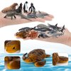 BRETOYIN Sea Animals Figurines Set 18PCS Sea Turtle Small Figure Christmas Bath Toys Gift for Kids Toddlers Preschool Educational Playset Whale Ornament