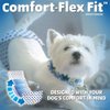 OUT! Pet Care Disposable Male Dog Diapers | Absorbent Male Wraps with Leak Proof Fit | XS/Small, 12 Count