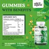 Wild & Organic Chlorophyll Gummies 50mg - Chlorophyll Supplements for Detox Cleanse - Internal Deodorant w/Sodium Copper Chlorophyllin - Chlorophyll Herbal Supplement - 60 Chlorophyll Powder Chews