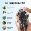 Purifying Shampoo for Thinning Hair and Scalp Care - Paraben and Sulfate Free Lavender Rosemary and Tea Tree Clarifying Shampoo for Build Up with Essential Oils