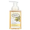 South Of France Foaming Hand Wash Lemon Verbena With Hydrating Organic Agave Nectarc 8 Oz