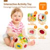 hahaland Montessori Toys for 1 Year Old Girl Gifts-Busy Activity Cube Travel Toys for 12-18 Months Baby Sensory Ball Development Educational Toys for 3 6 12 18 Months Toys