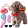 Walking Barking Dog Toy Singing Puppy Set, Repeat What You Say Teddy with Control Leash Electronic Dog, Touch or Voice Control Realistic Robot Musical Dancing Animated Plush Pet for Toddler