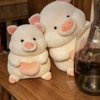 Ruzucoda Plush Pig Stuffed Animals Soft Toys Holding Love Heart Dolls Gifts for Girls Girlfriend Lover Pink 8 Inches