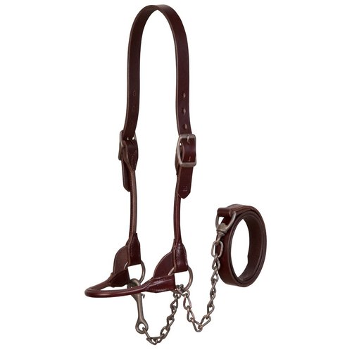 Weaver Leather Livestock Bombshell Show Halter Brown, Medium