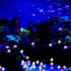 Abnaok Glow in The Dark Rocks, 600PCS Glowing Rocks for Aquarium Decoration, Outdoor Decor, Garden Lawn Yard, Walkway, Fish Tank, Pathway, Driveway