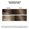 Better Natured Permanent 8BA Blue Ash Blonde Hair Color Dye - Naturally-derived, Vegan & 100% Gray Coverage that Lasts up to 8 Weeks