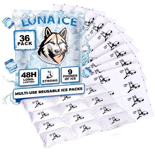Ice Pack Bulk-Dry Ice for Shipping Frozen Food-Lunch Box Ice Packs-9 Pounds-48+Hours-Slim 15x12in/5x3in-Reusable ice Packs-Freezer Packs-Ice Packs Shipping-Dry ice Packs for shipping-36 Pack-BPA Free