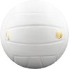 Baden Perfection Leather Volleyball, White