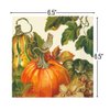 Harvest Pumpkins Luncheon Napkins | 6.5" X 6.5" | 20 Pcs