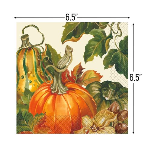 Harvest Pumpkins Luncheon Napkins | 6.5" X 6.5" | 20 Pcs