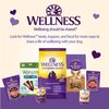 Wellness Rewarding Life Grain-Free Soft Dog Treats, Made in USA with Healthy Ingredients, Ideal for Training (Chicken & Venison Recipe, 6-Ounce Bag)