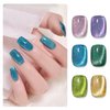 GAOY Glitter Cat Eye Gel Nail Polish Set with Magnet Colorful Galaxy for Holographic Cat Eye, Salon Gel Manicure and Nail Art DIY at Home