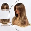 Long Brown Wig for Women Curtain Bangs Wig Layered Shoulder Length Heat Resistant Synthetic Wigs for Women with Bangs 24 IN