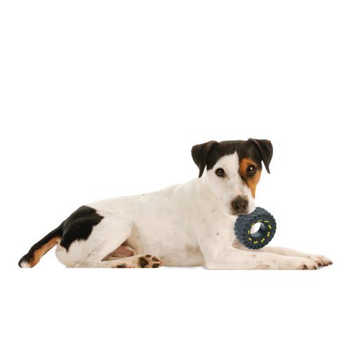 Ethical Squeaky Vinyl Tire Dog Toy, 3-1/2-Inch