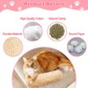 Dorakitten Cat Catnip Toys for Indoor Kitten: 3 Pcs Soft and Resistant Pillows Toy - Interactive Cat Kicker Toy with Catmint and Crinkle Plush Cat Chew Teething Clean Toy for Small Cats (Green)