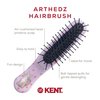 Kent ARTH1 Baby Hair Brush, Hair Brush for Kids, Small Brushes for Hair and Travel Brush Hair Detangler with Non-Scratch Nylon Bristles for Gentle Detangling Arthedz (Mischievous Cats Pattern)