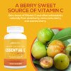 Paleovalley Essential C Complex - Vitamin C Supplement for Immune Support - 1 Pack, 450mg - Organic Superfoods Unripe Acerola Cherry, Camu Camu, Amla Berry - No Synthetic Ascorbic Acid - USA Made