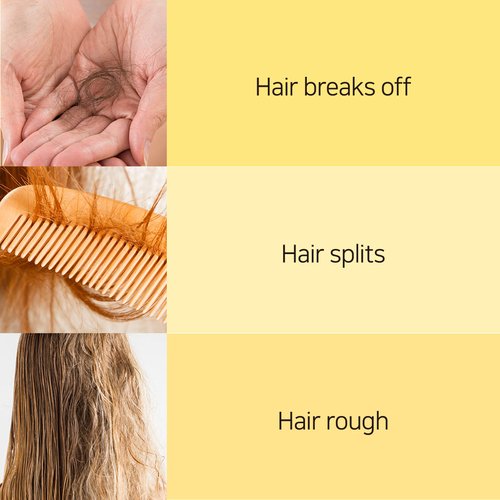 Valmona Egg Deep Nutrition Conditioner 16.23 Fl oz Good For Dry And Damage Hair Contains honey olive oil