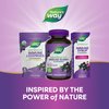 Nature’s Way Sambucus Elderberry Immune Gummies, Daily Immune Support for Kids and Adults*, with Vitamin C, Vitamin D3, Zinc, Gluten Free, Vegetarian, 60 Gummies (Packaging May Vary)