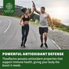 N1 Nutrition Premium Theaflavins Black Tea Extract [40% Theaflavins] Powered by TheaFit™ to Support Exercise Performance and Reduce Recovery Time, 90 Veg Caps