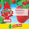LITTLE TREES Car Air Freshener | Hanging Paper Tree for Home or Car | Strawberry | 6 Pack