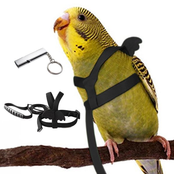 banmagately Bird Harness and Leash, Adjustable Outdoor Bird Training Leash with Training Whistle, Parrot Pet Harness Anti-Bite Nylon Rope Chest Harness for Buderigar, Lovebird, Pacific Parrolet (XS)