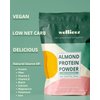 wellious – Clean Vegan Protein Powder – for Gut Health, Plant Based, Keto Friendly, No Sodium, High Fiber, Dairy Free, for Women and Men (Real Chocolate)